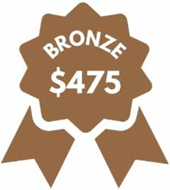 Bronze Bench Sponsorship